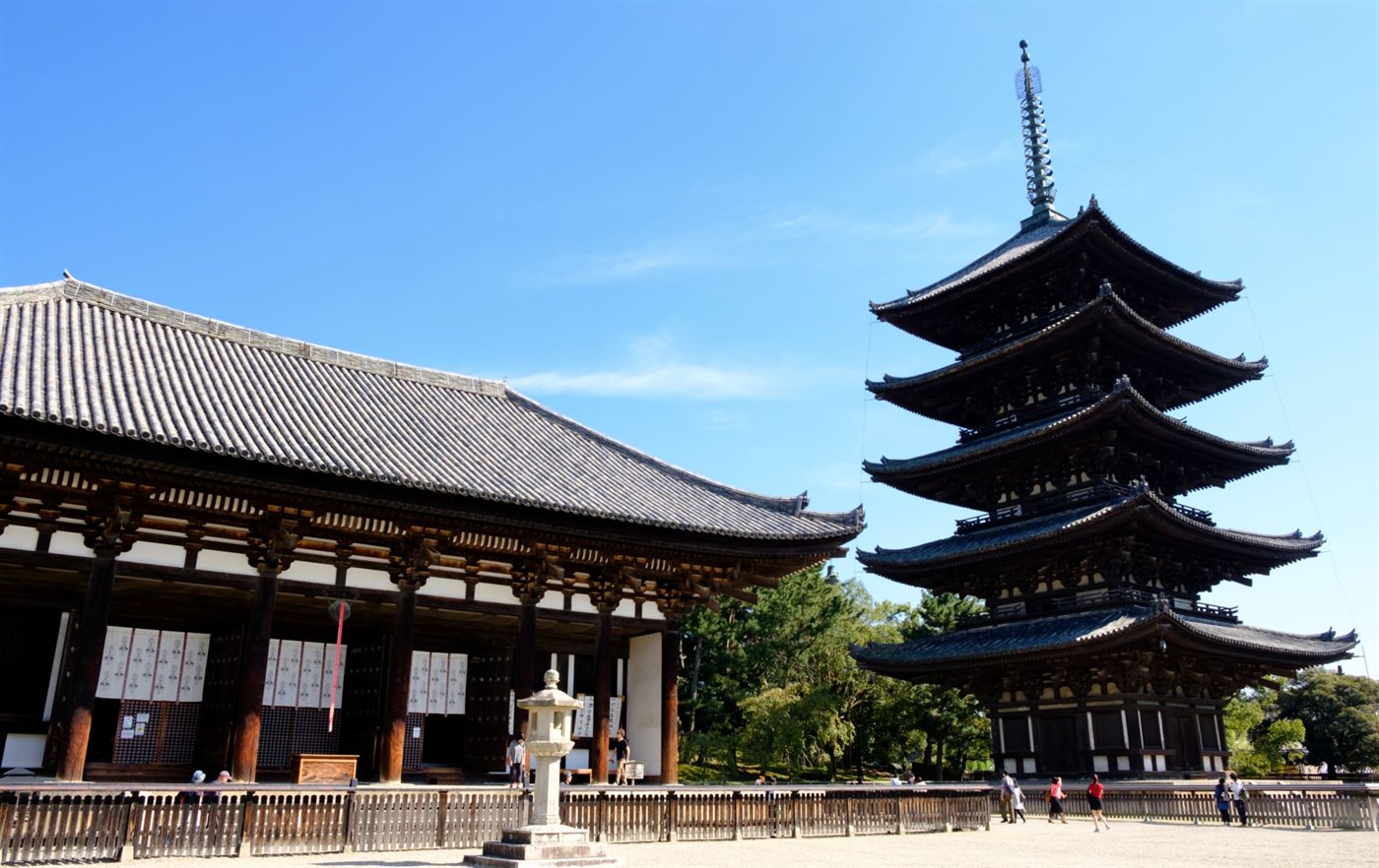 奈良公园興福寺